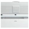 126091-3 FREEZER PUNKTAL HORIZONTAL PK-HS543 INV 418 LTS. (5649)
