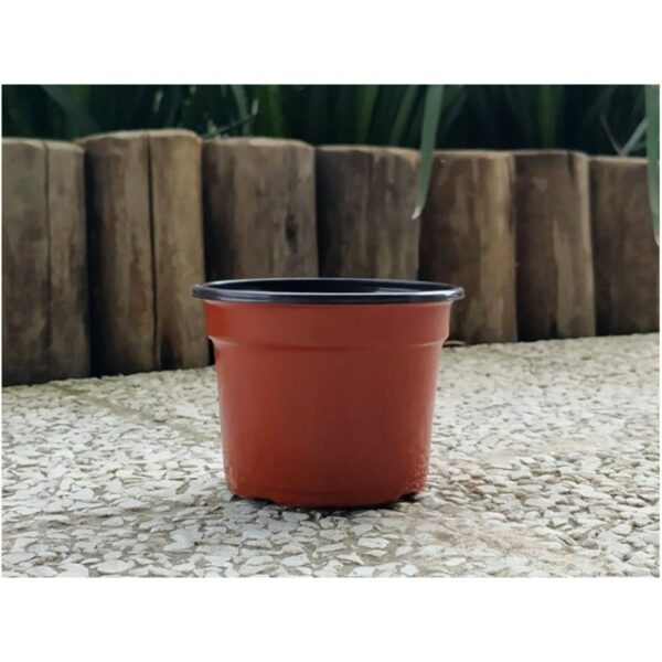 MACETA P/ALMACIGO  9 CM. BELTRAME BICOLOR (522263)