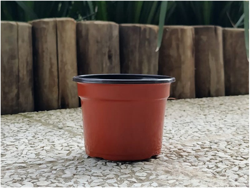 108153 MACETA P/ALMACIGO 9 CM. BELTRAME BICOLOR (522263)