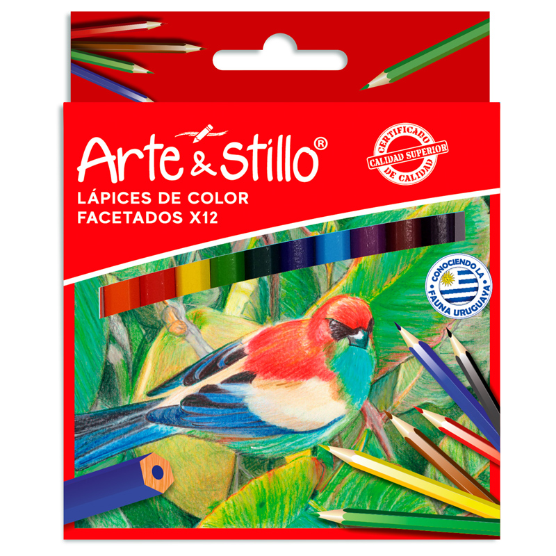 LAPICES DE COLOR CORTO FACETADOS SAROO X 12 UN. (ESC408)
