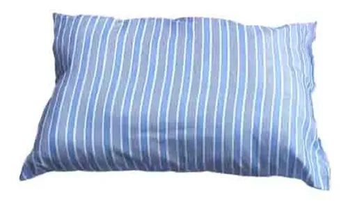 116658 ALMOHADA GUATA 60 X 40 CM. (4288.1)
